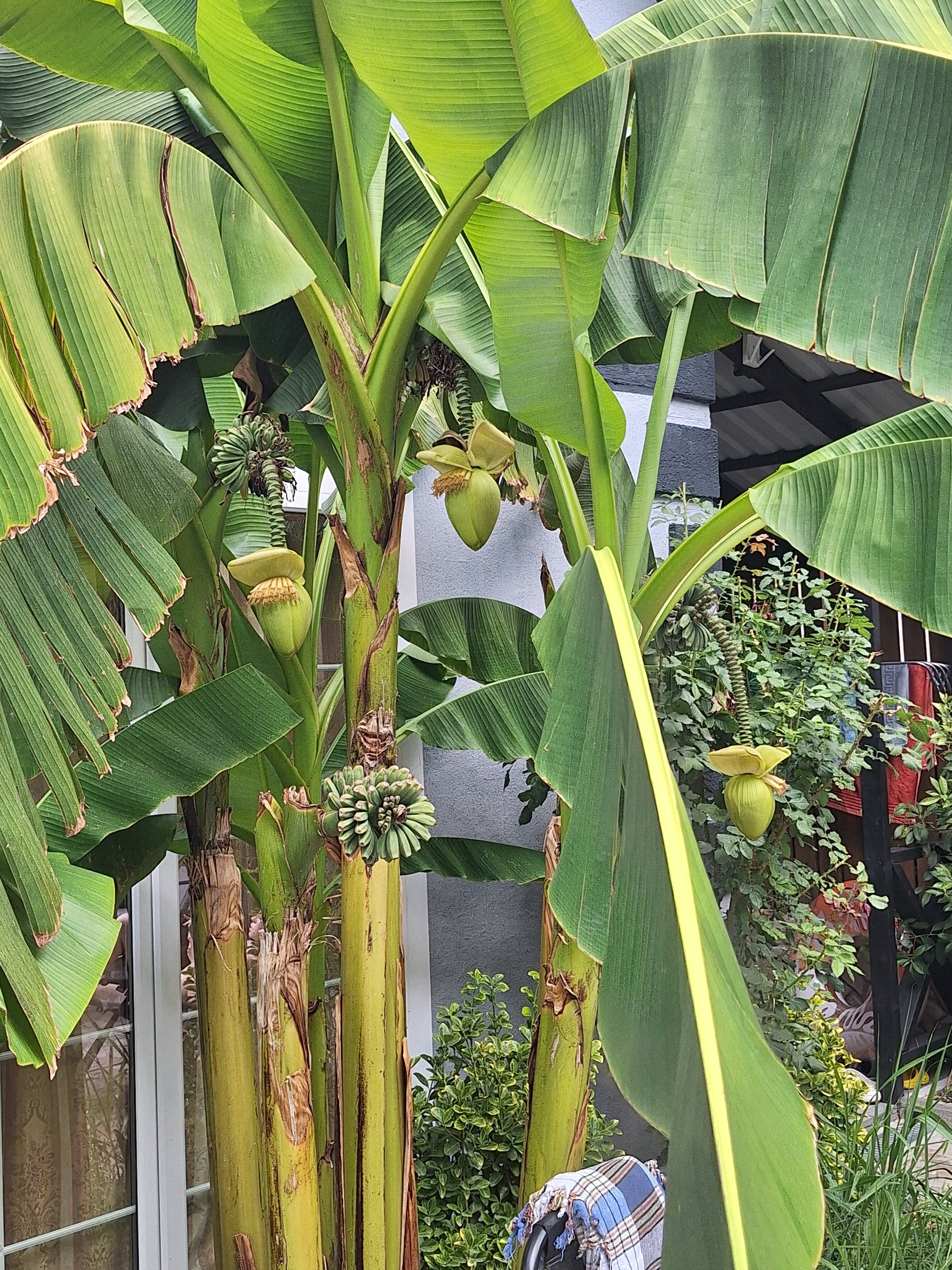 Фото Рай в шалаше