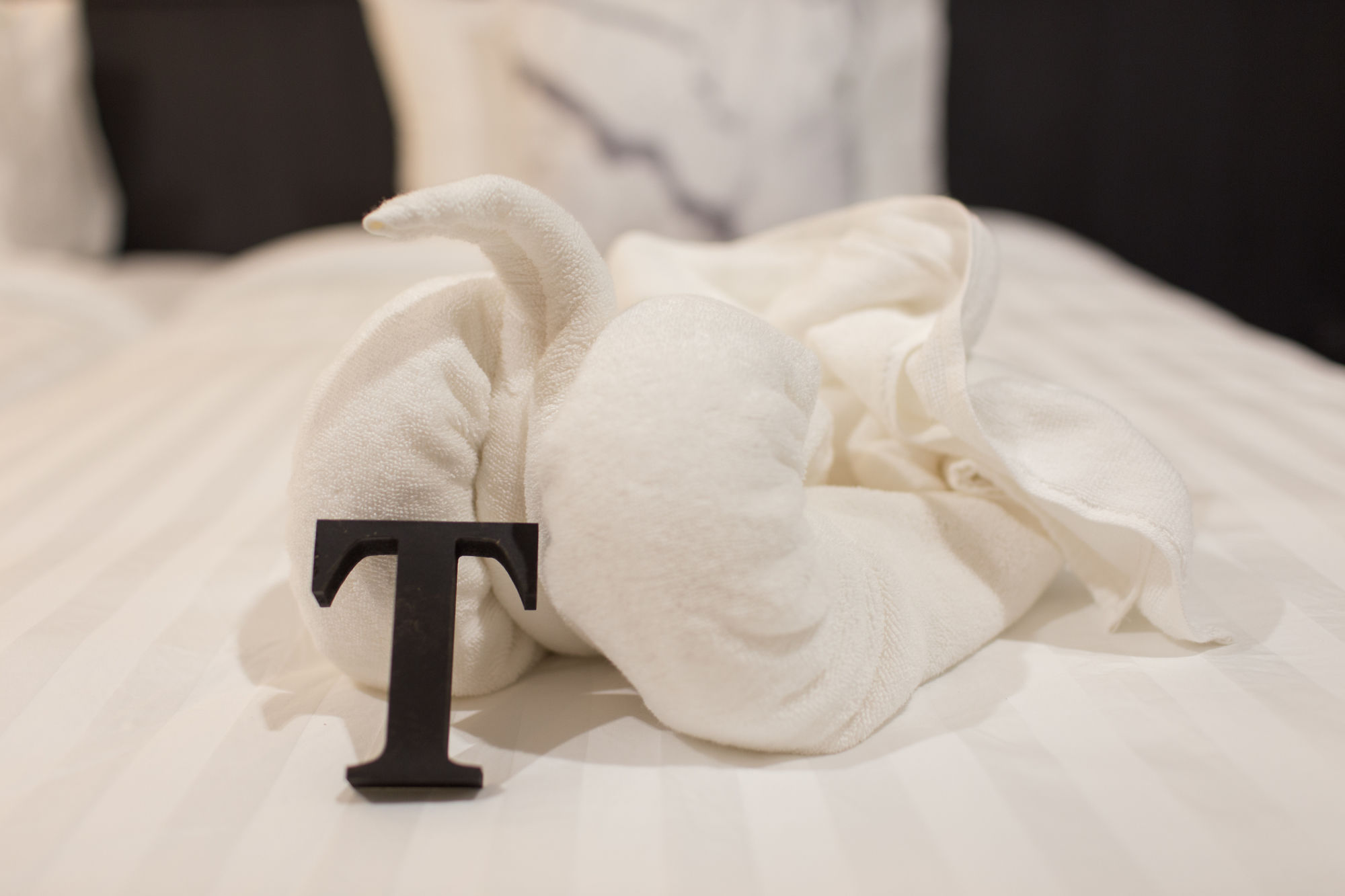 Фото Well Timed Hotel