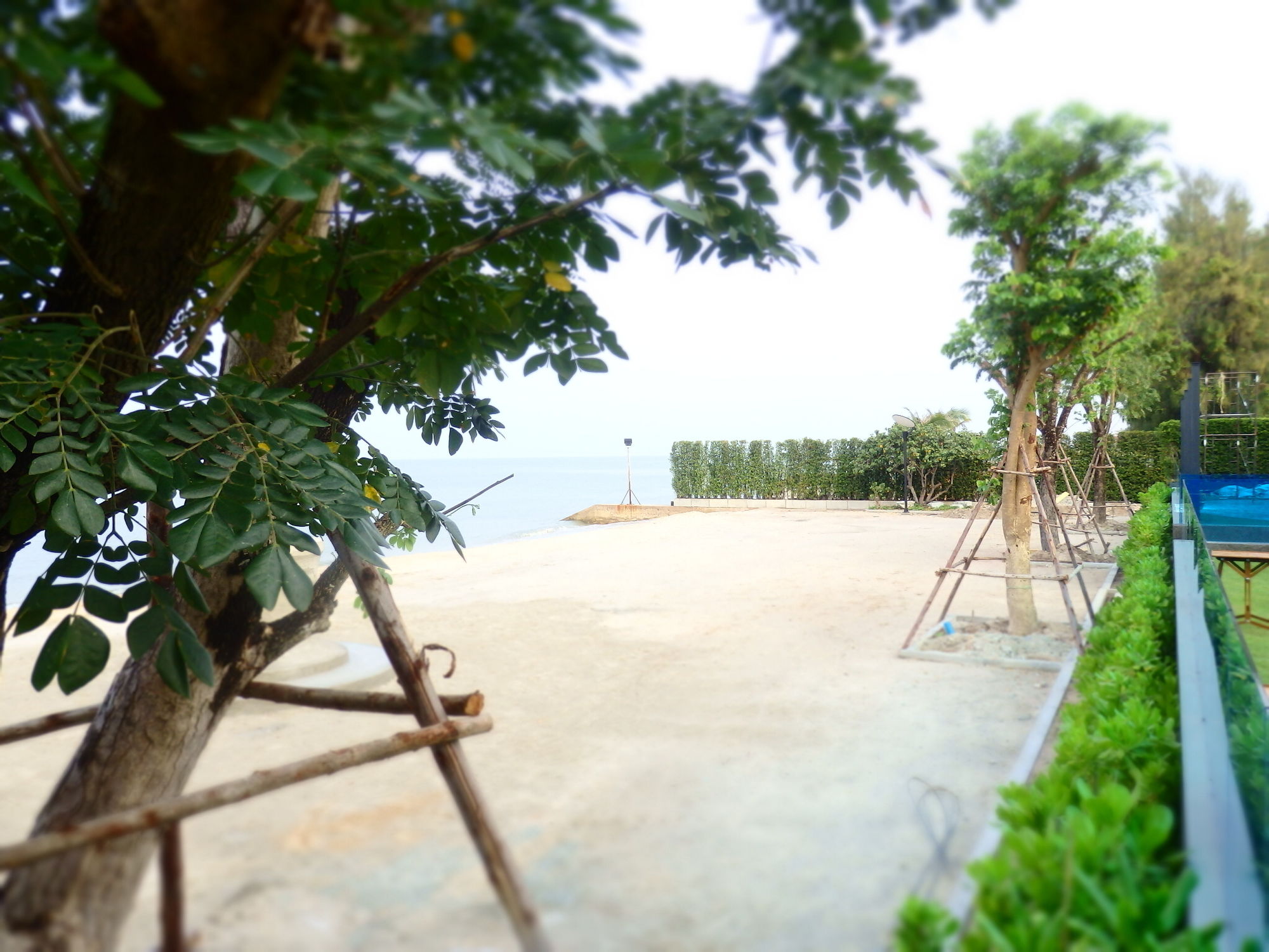 Фото Sikhara Plago Resort