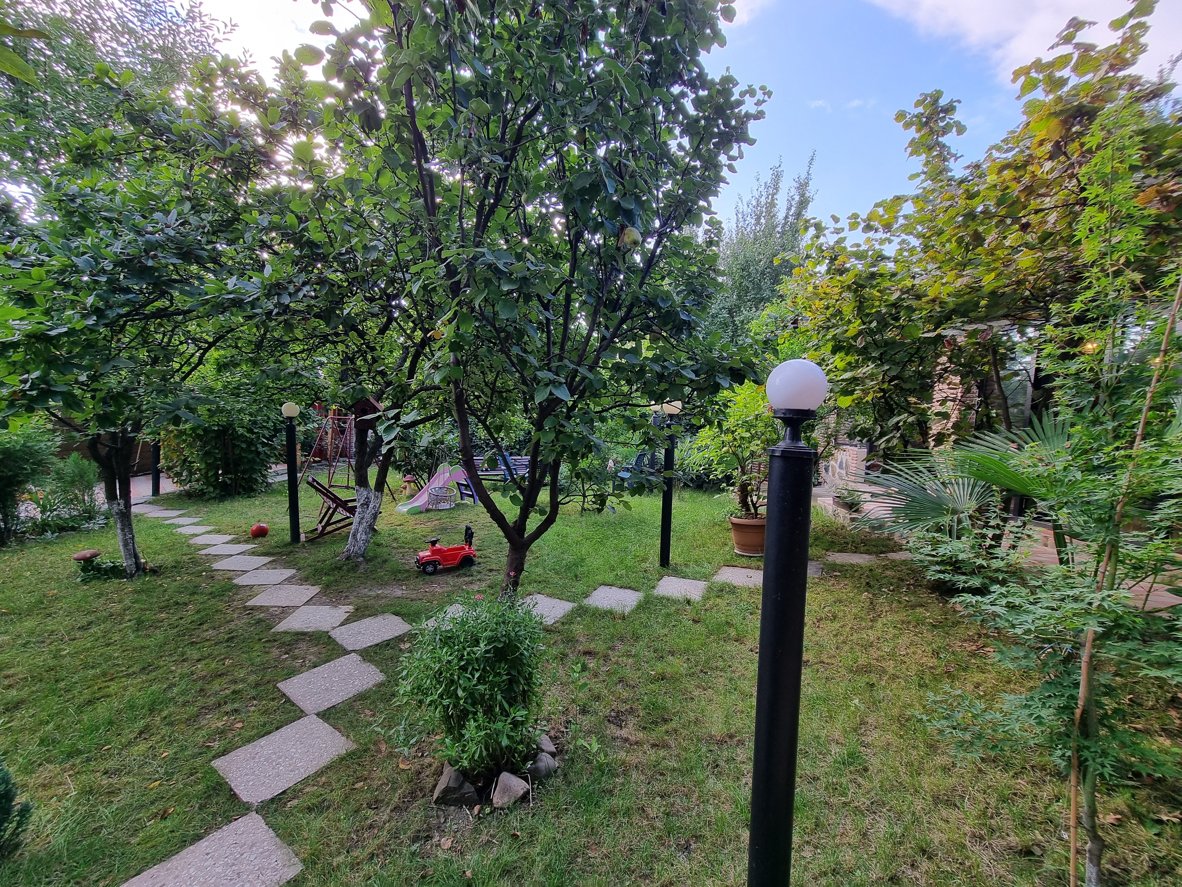 Фото Полиглоты