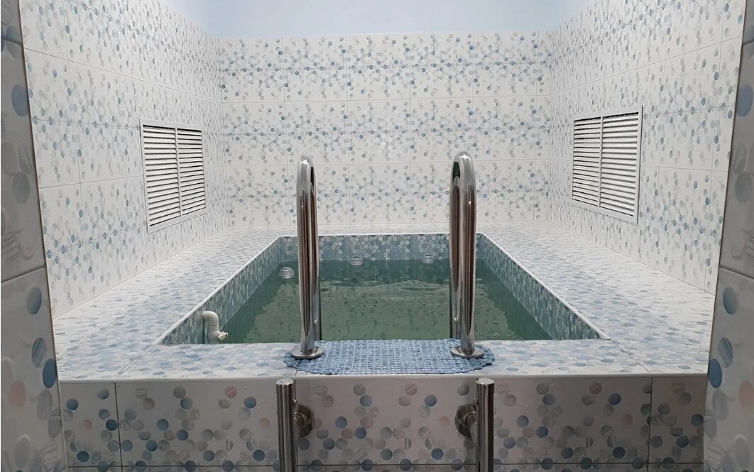 Фото Белый лев