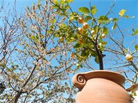 Фото Bacio Del Sole B&b
