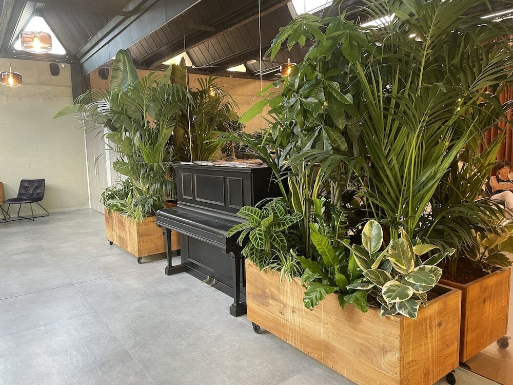 Фото 130816356369