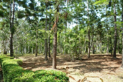 Гостиница Hilton Port Moresby в Порт-Морсби