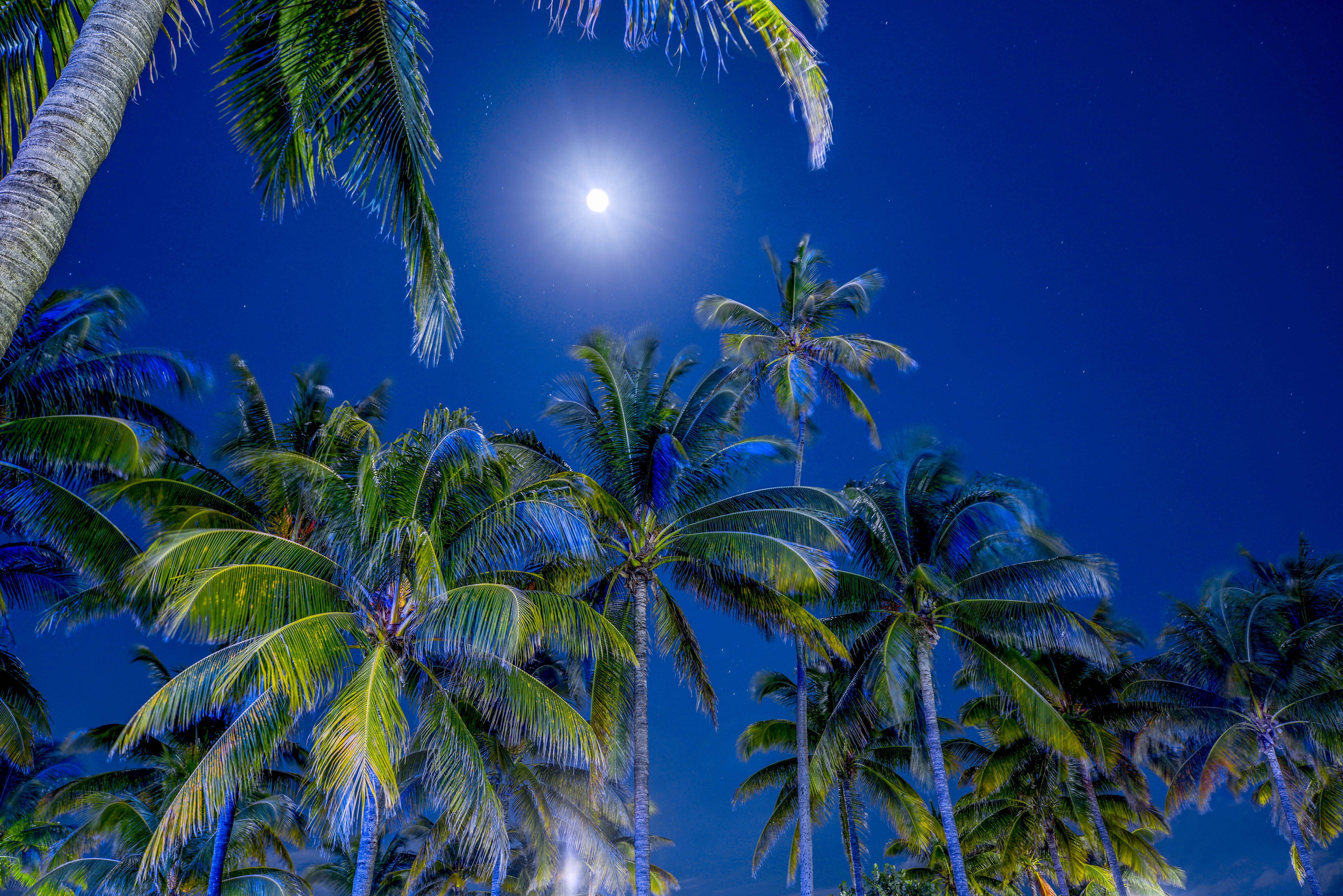 Фото Hilton Vacation Club Crescent on South Beach Miami