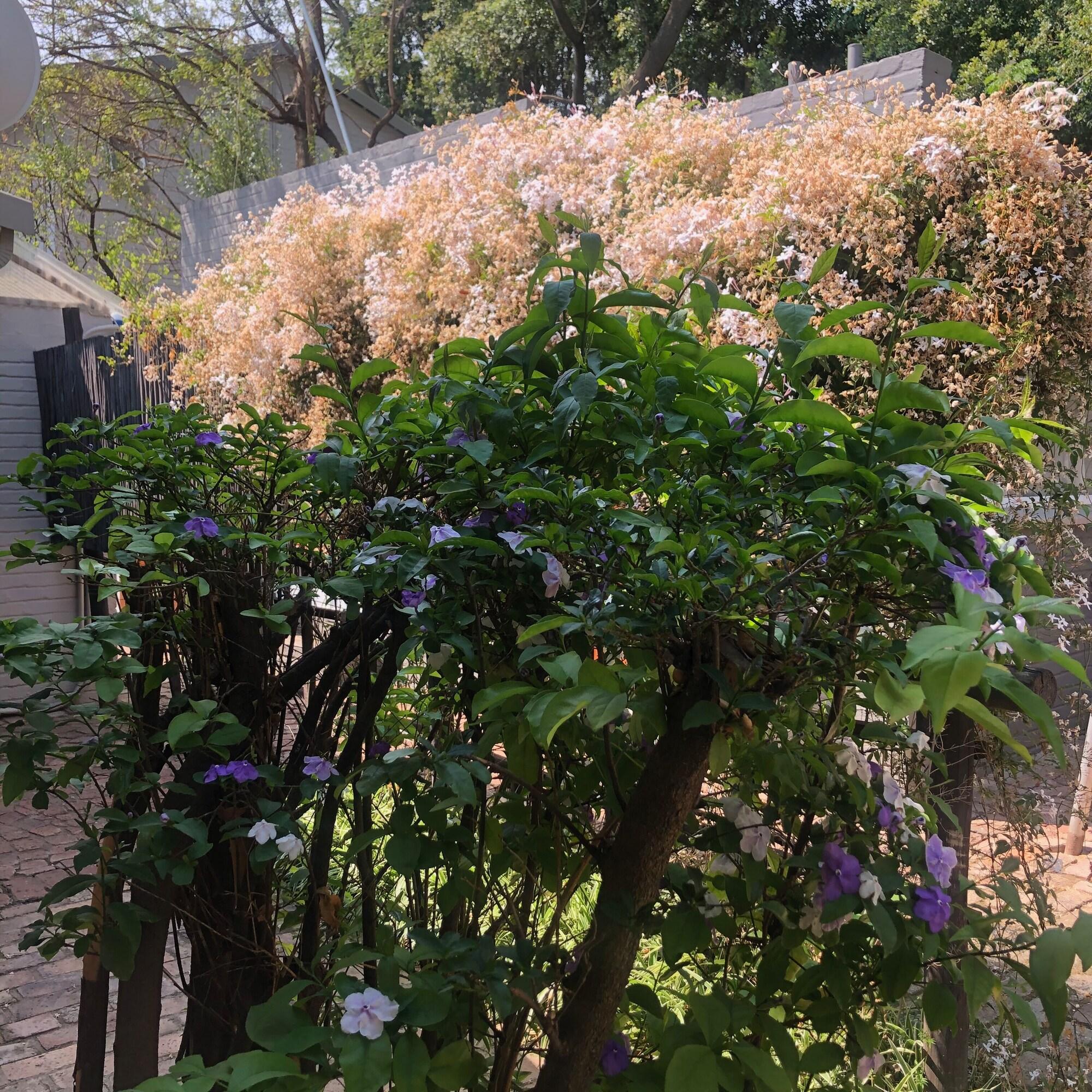 Фото The Haystack on Homestead