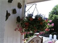 Фото Merriedale Guest House