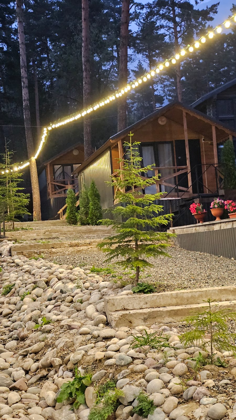 Фото Сосновка