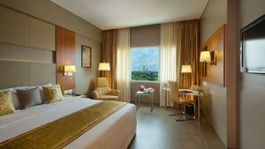 Гостиница Royal Orchid Central, Vadodara