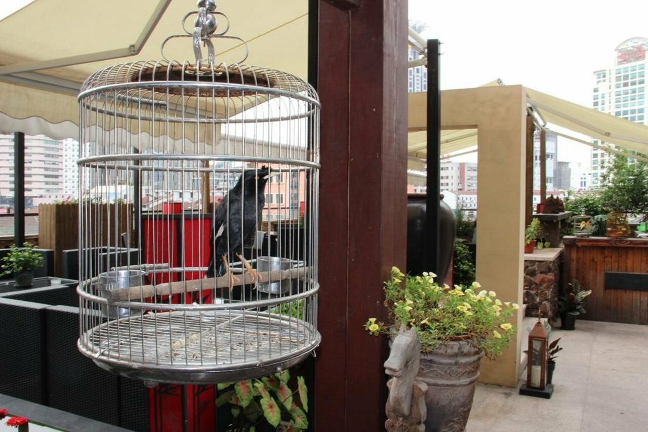 Фото Ssaw Boutique Hotel Shanghai Bund