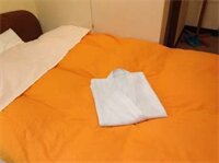 Фото Shirakawa Business Hotel