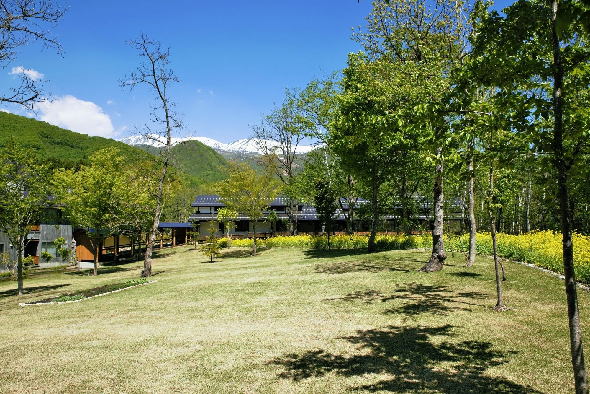 Фото Hotel Sierra Resort Hakuba