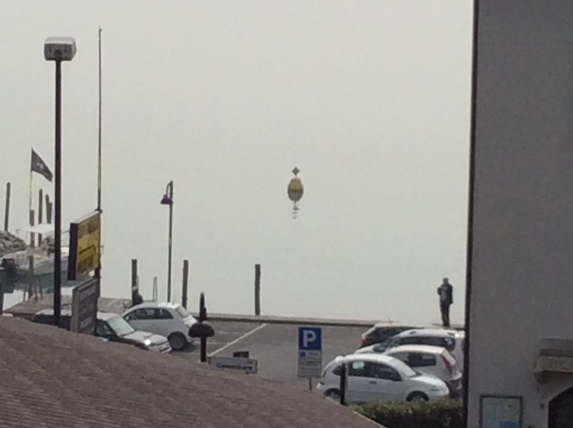 Фото Hotel Villa Rosa