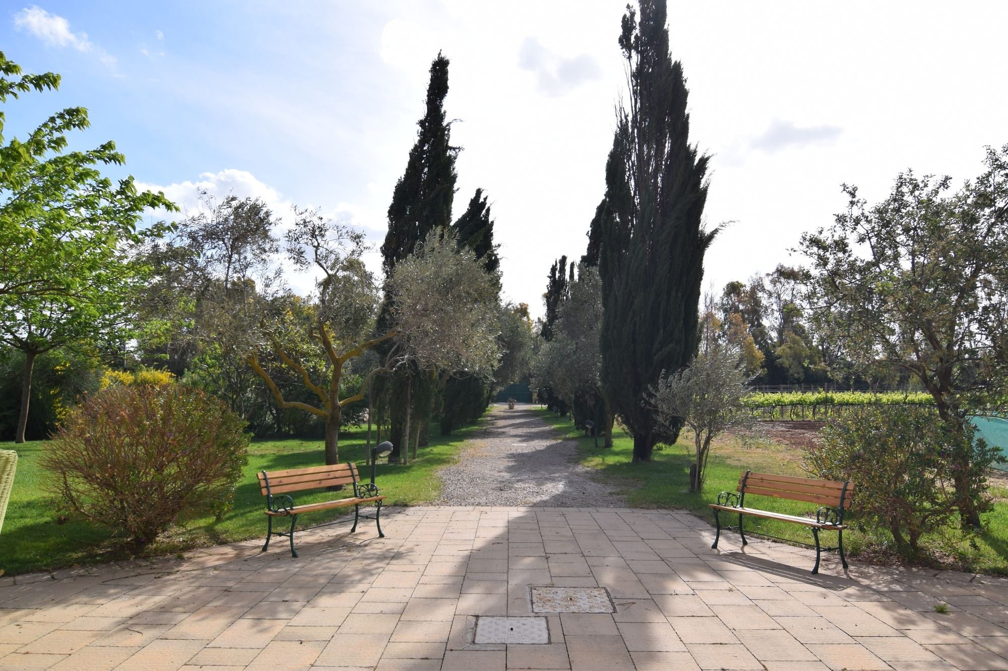 Фото Wine Resort Ledà d'Ittiri