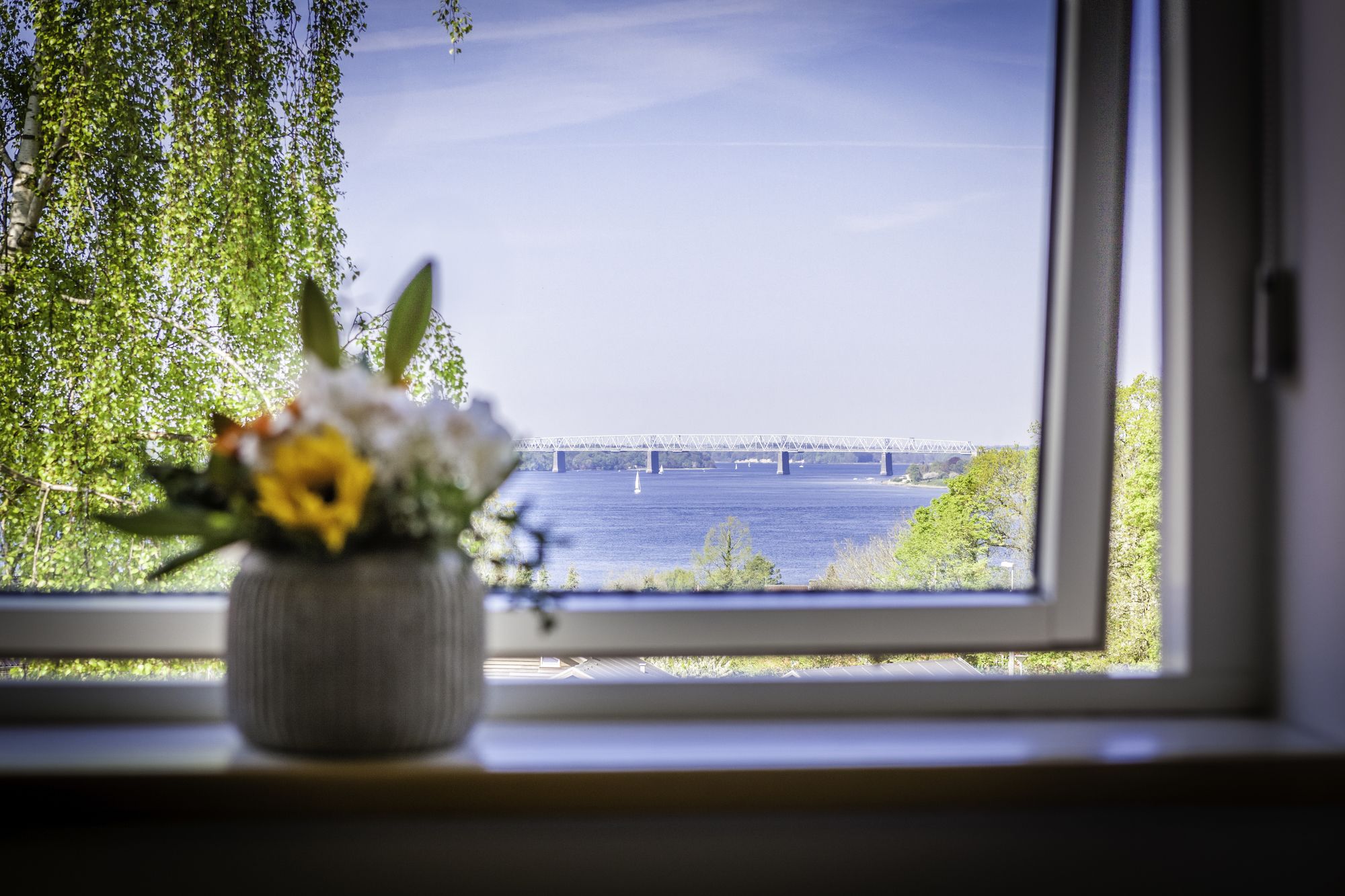 Фото Severin