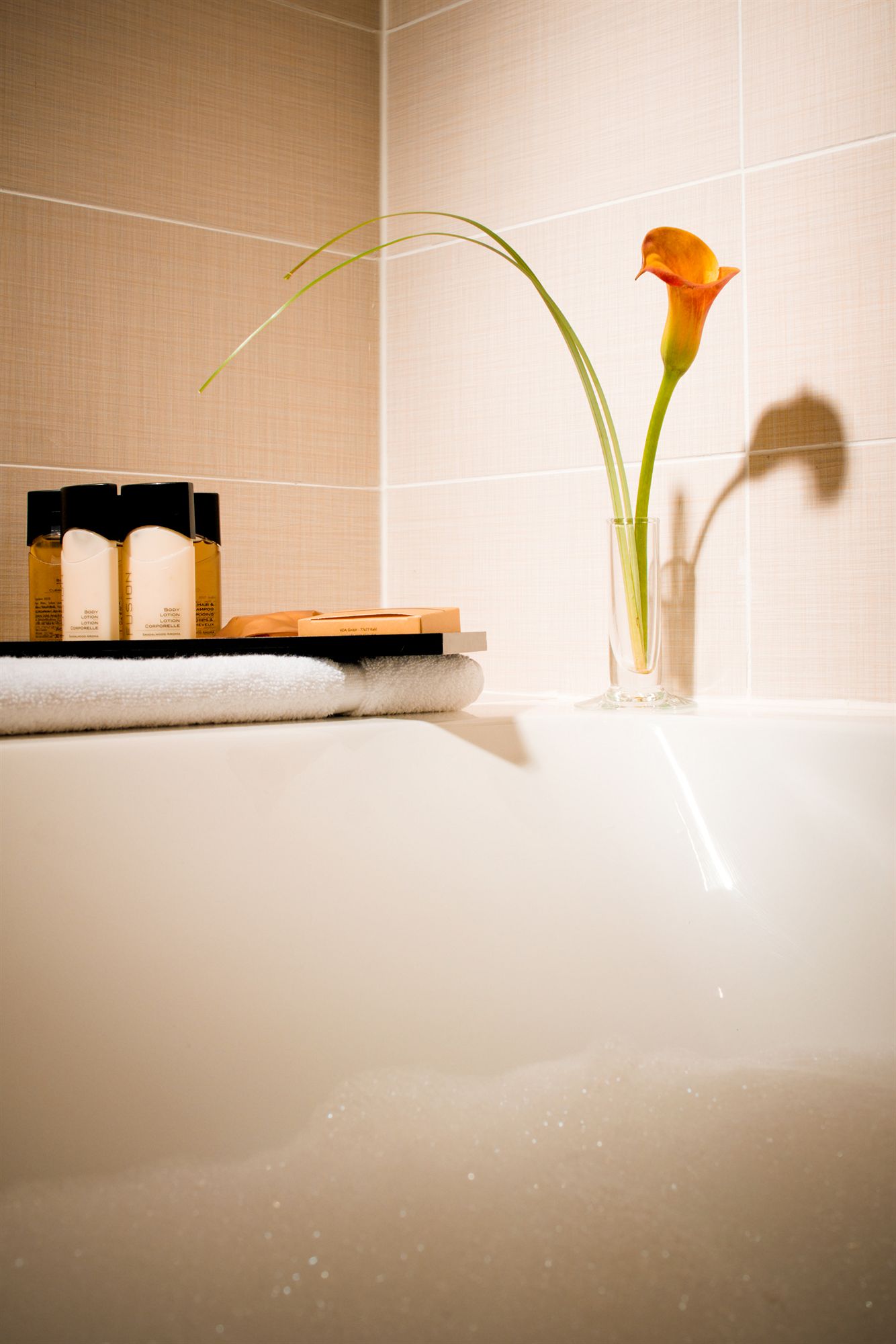 Фото Appart-Hôtel Clément Ader