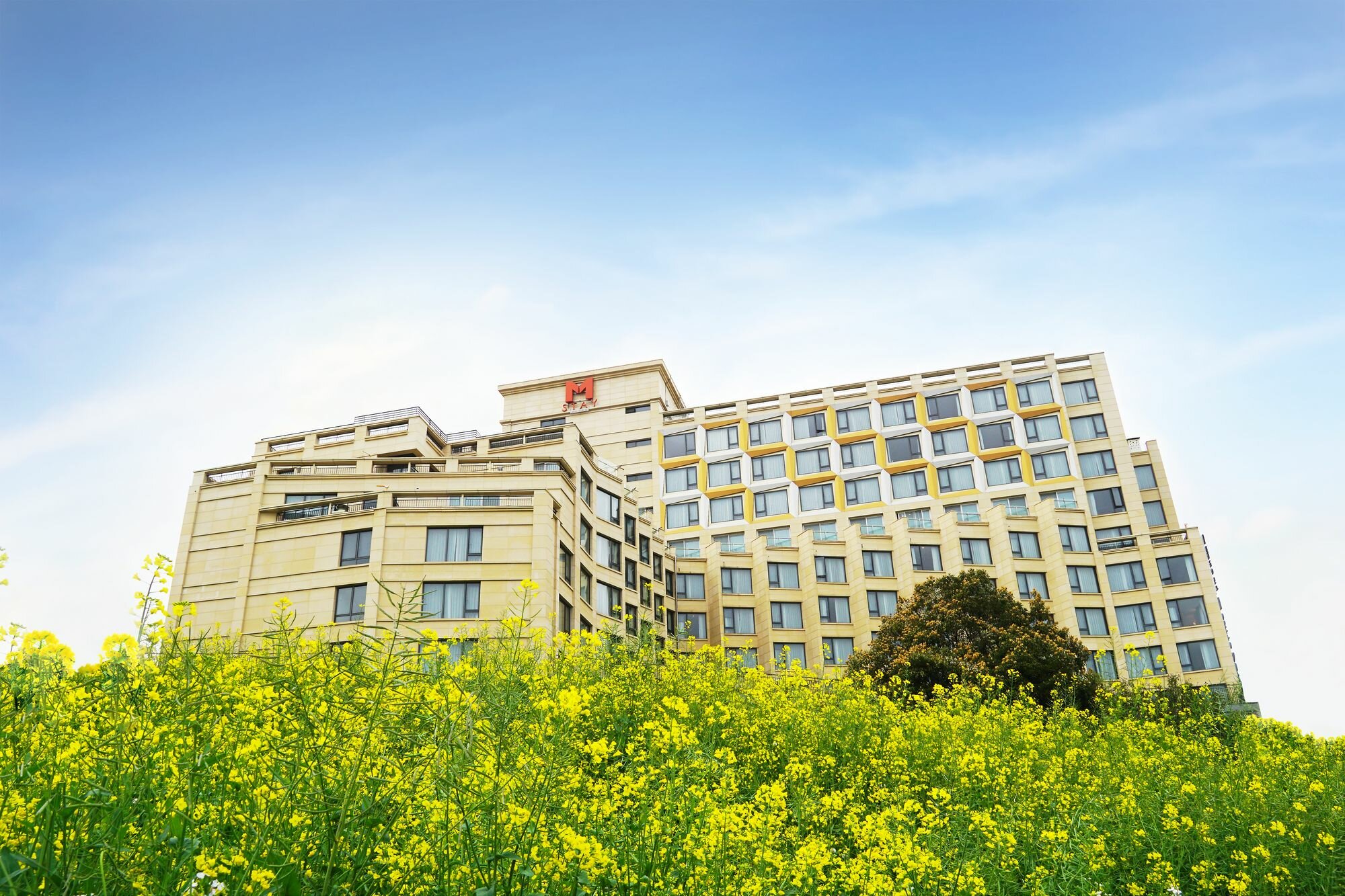 Фото M-Stay Hotel Jeju