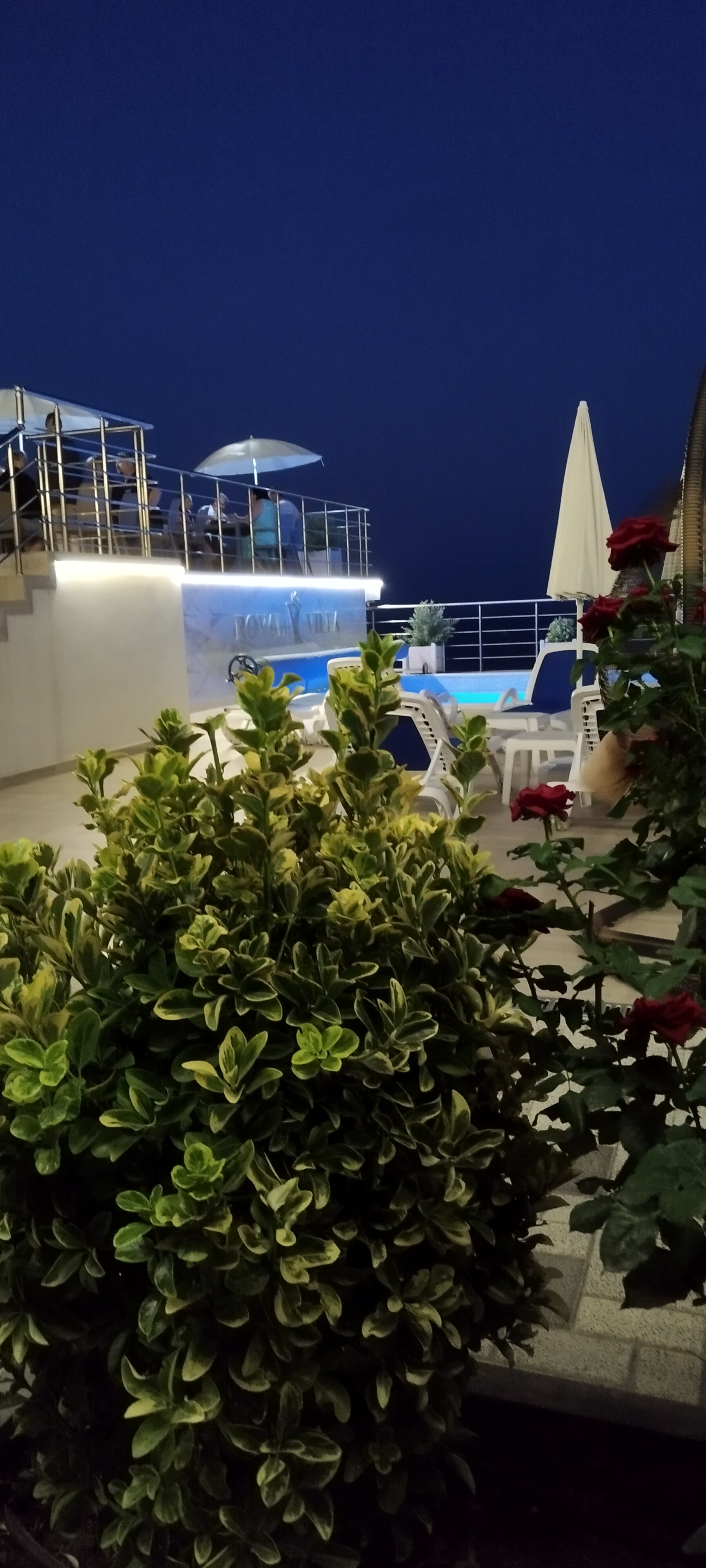 Фото Royal villa 2021