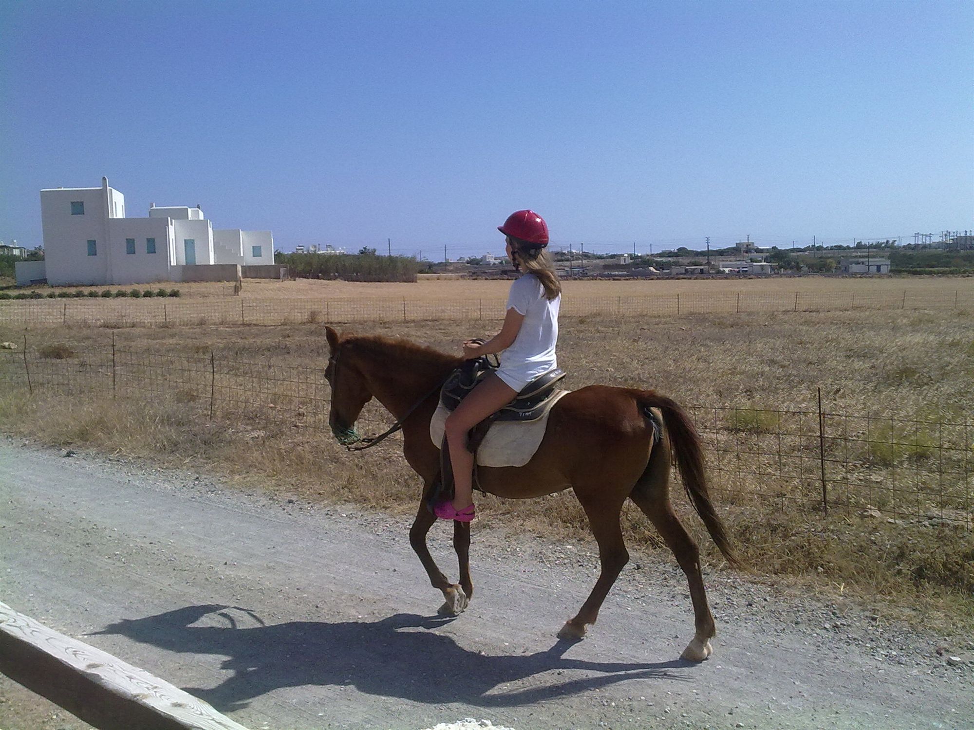 Фото Fyrogenis Palace Hotel - Apartments