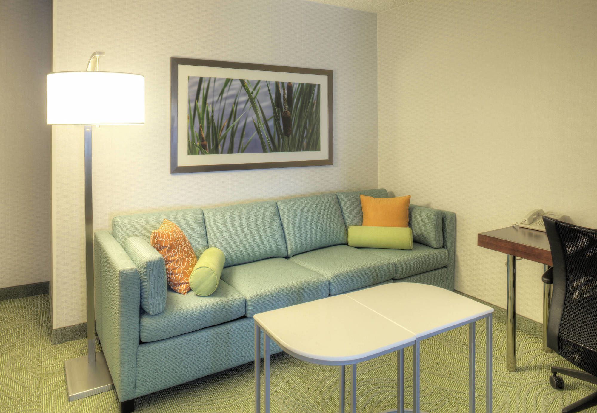 Фото Springhill Suites by Marriott Billings