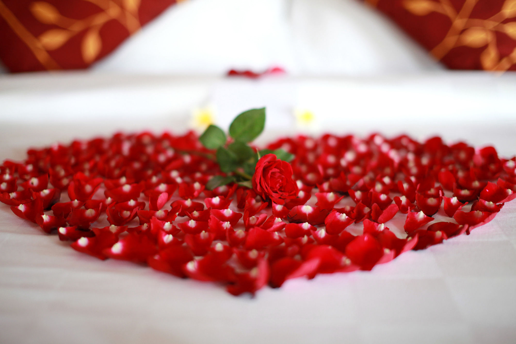 Фото Nirwana Beach & Resort