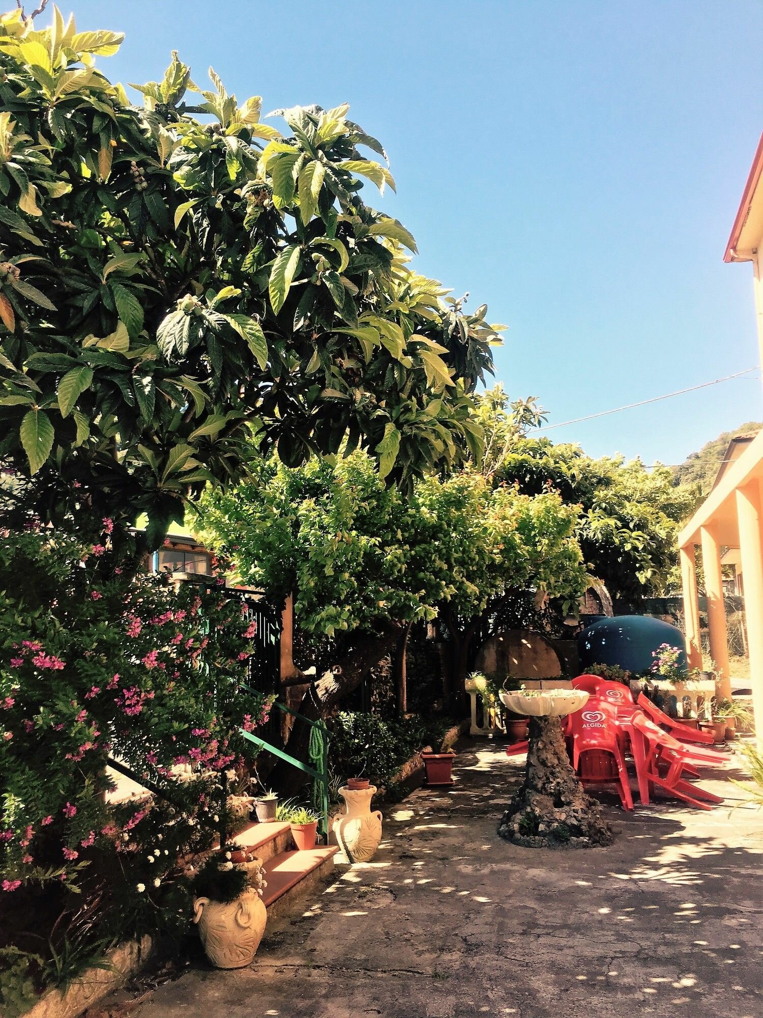 Фото Hotel Ristorante La Mimosa