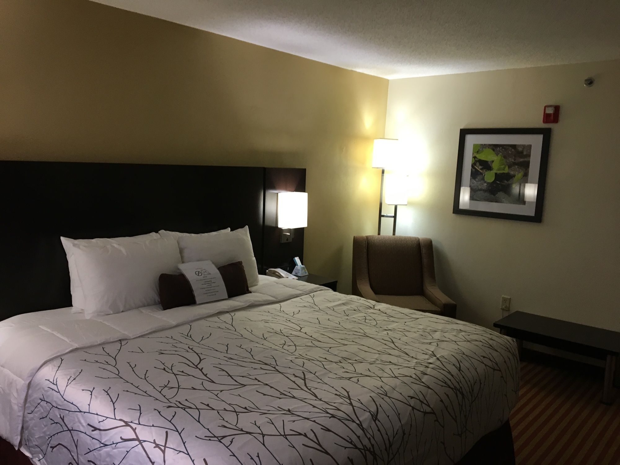 Фото Best Western Patriots Point