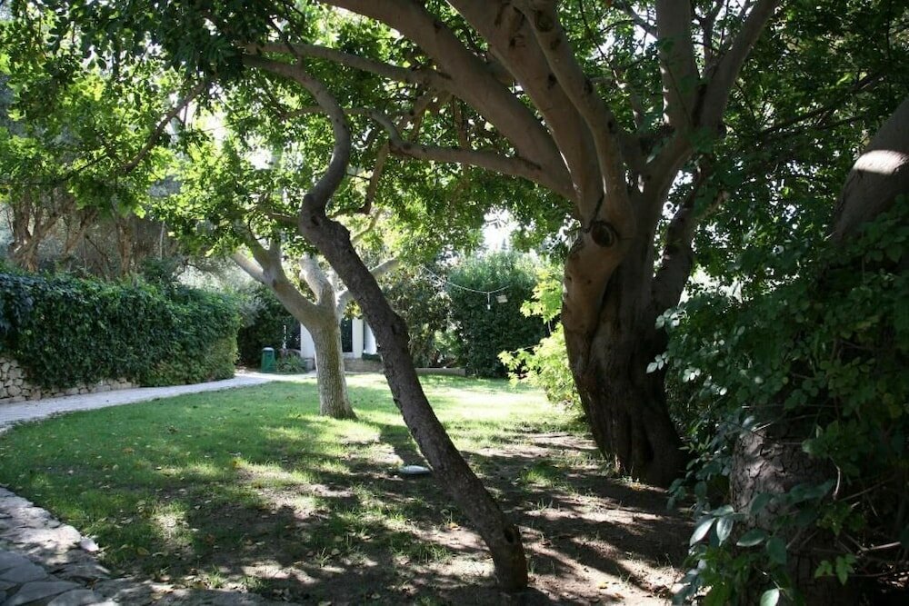 Фото Villa Aurea