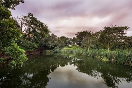 Внешний вид отеля Quarry Lake Inn в Ист-Лондоне, фото 2