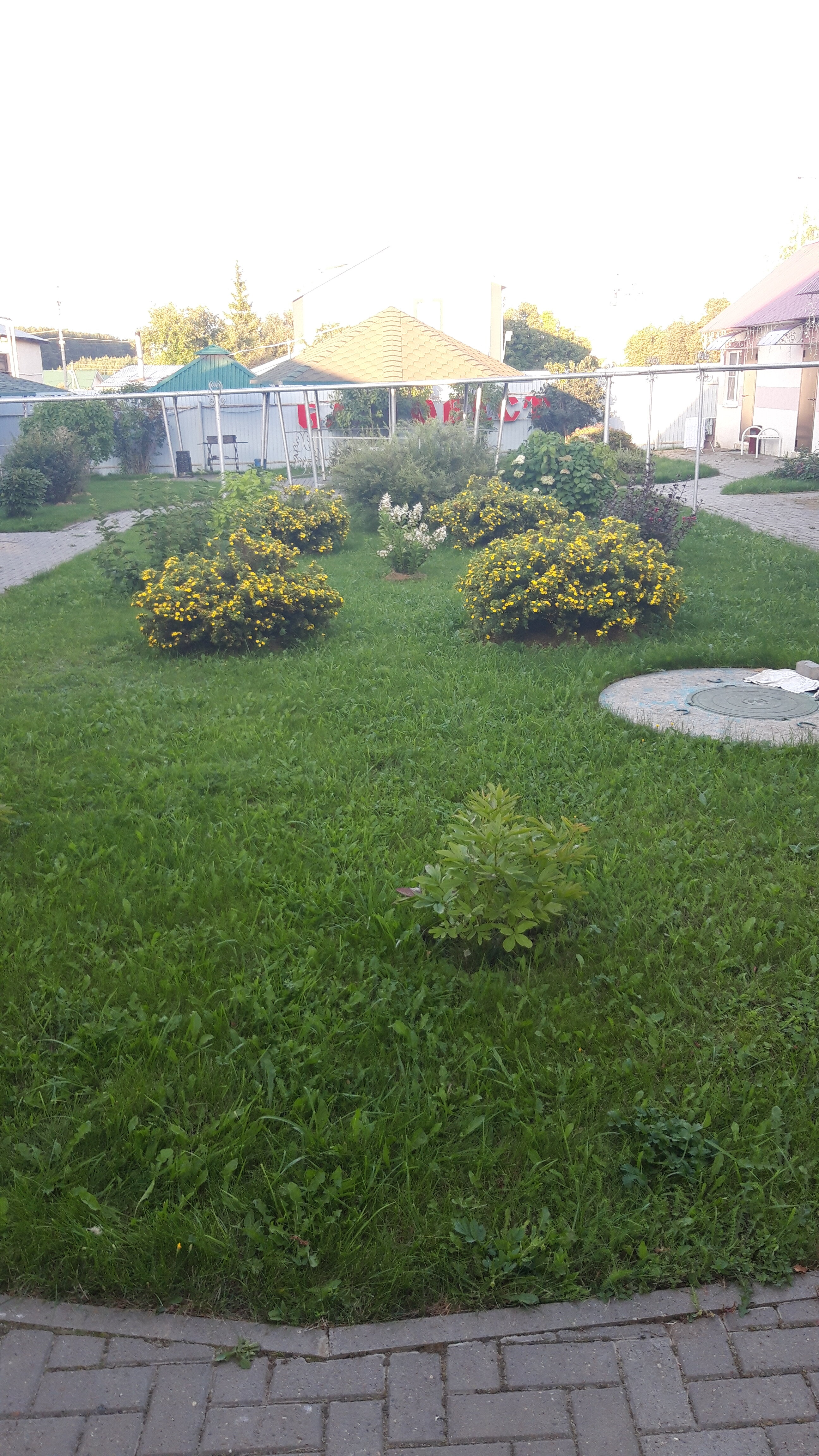 Фото Благовест