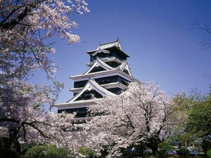 Гостиница Kumamoto Tokyu Rei Hotel