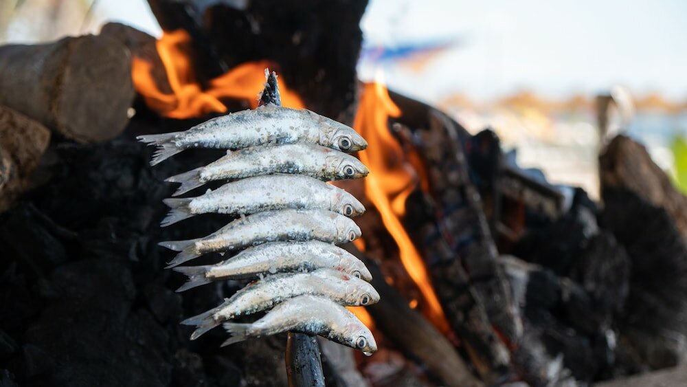 Фото Hotel Ms Tropicana