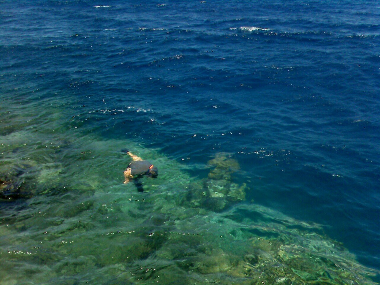 Фото Bliss Nada Beach Resort