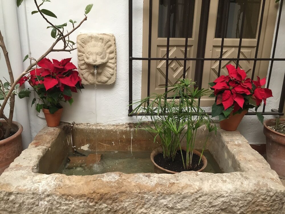 Фото Los Patios Hotel