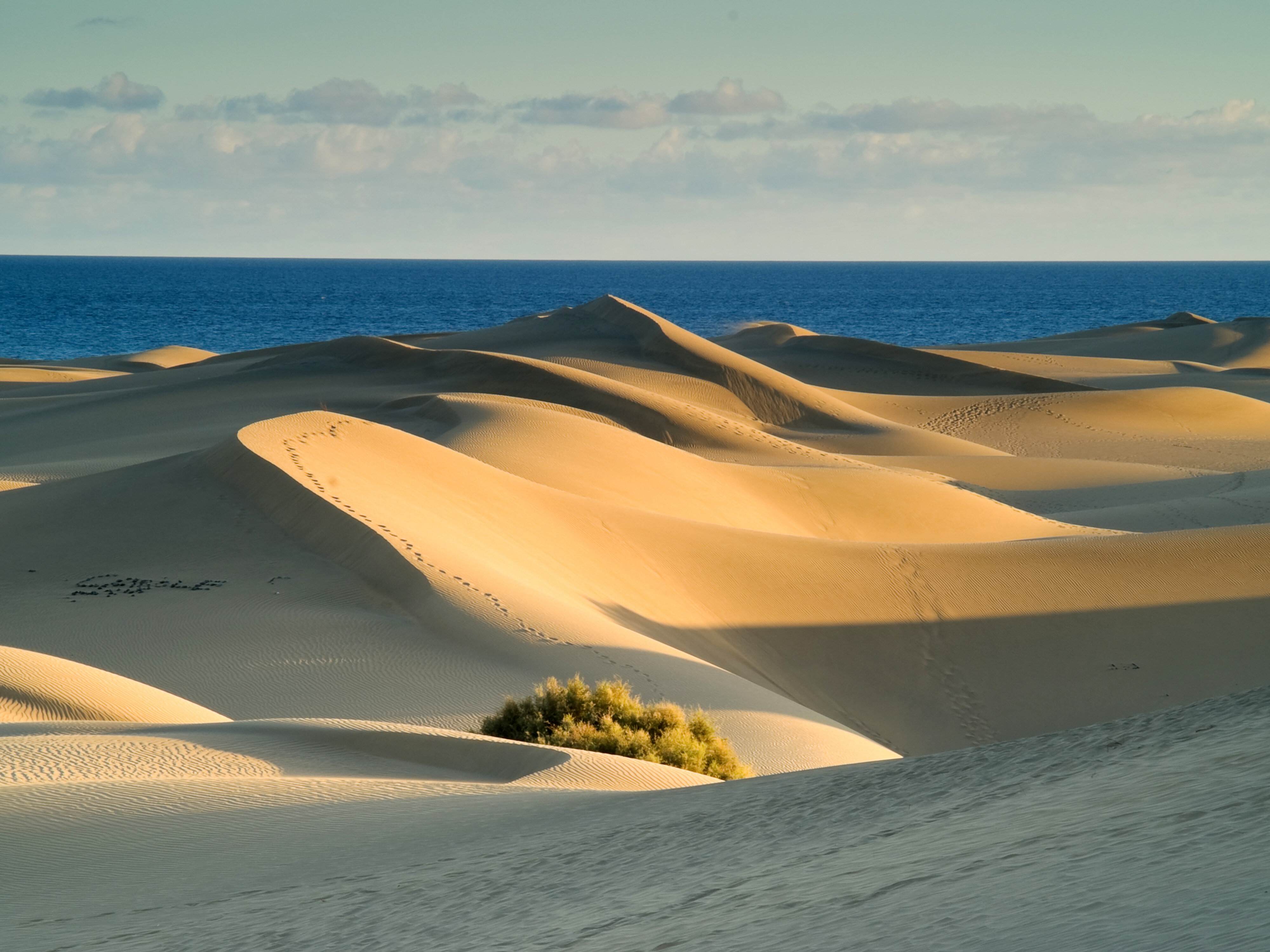 Фото Bungalows Vistaflor