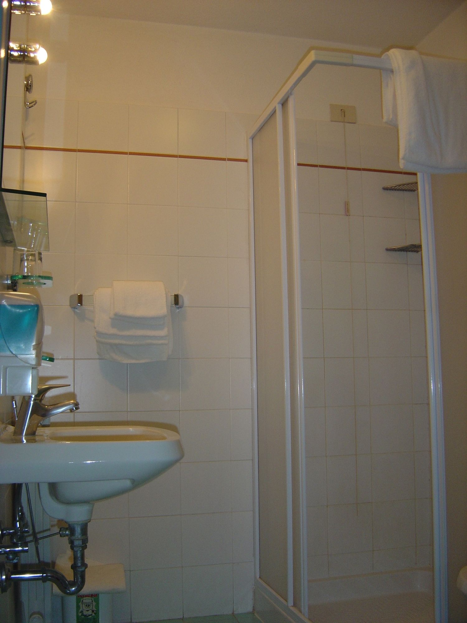 Фото Hotel Alma Domus