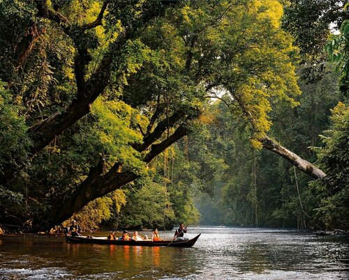 Гостиница Xcape Resort at Taman Negara