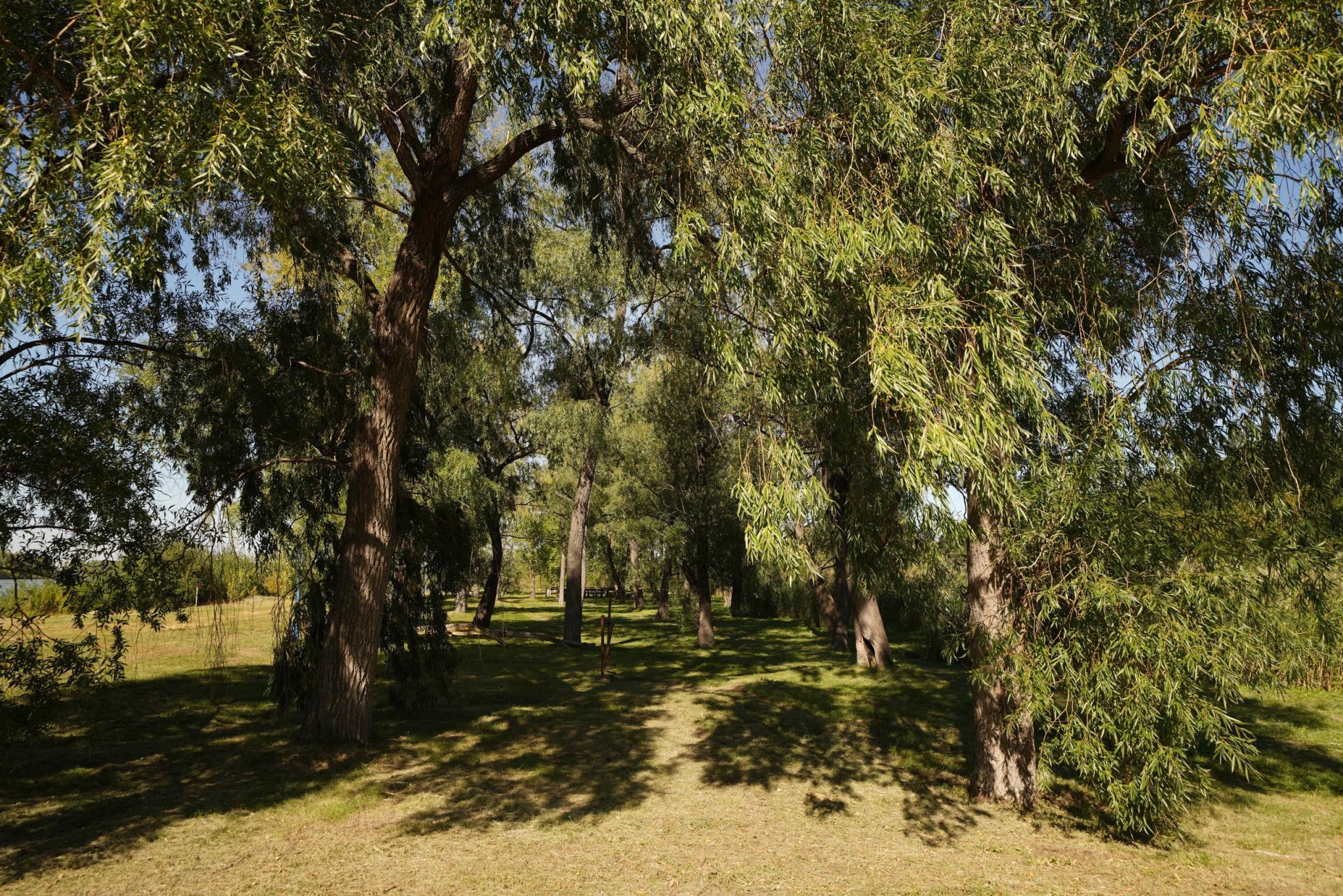 Фото Евромед