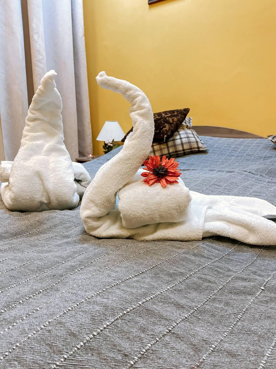 Фото Дюжина