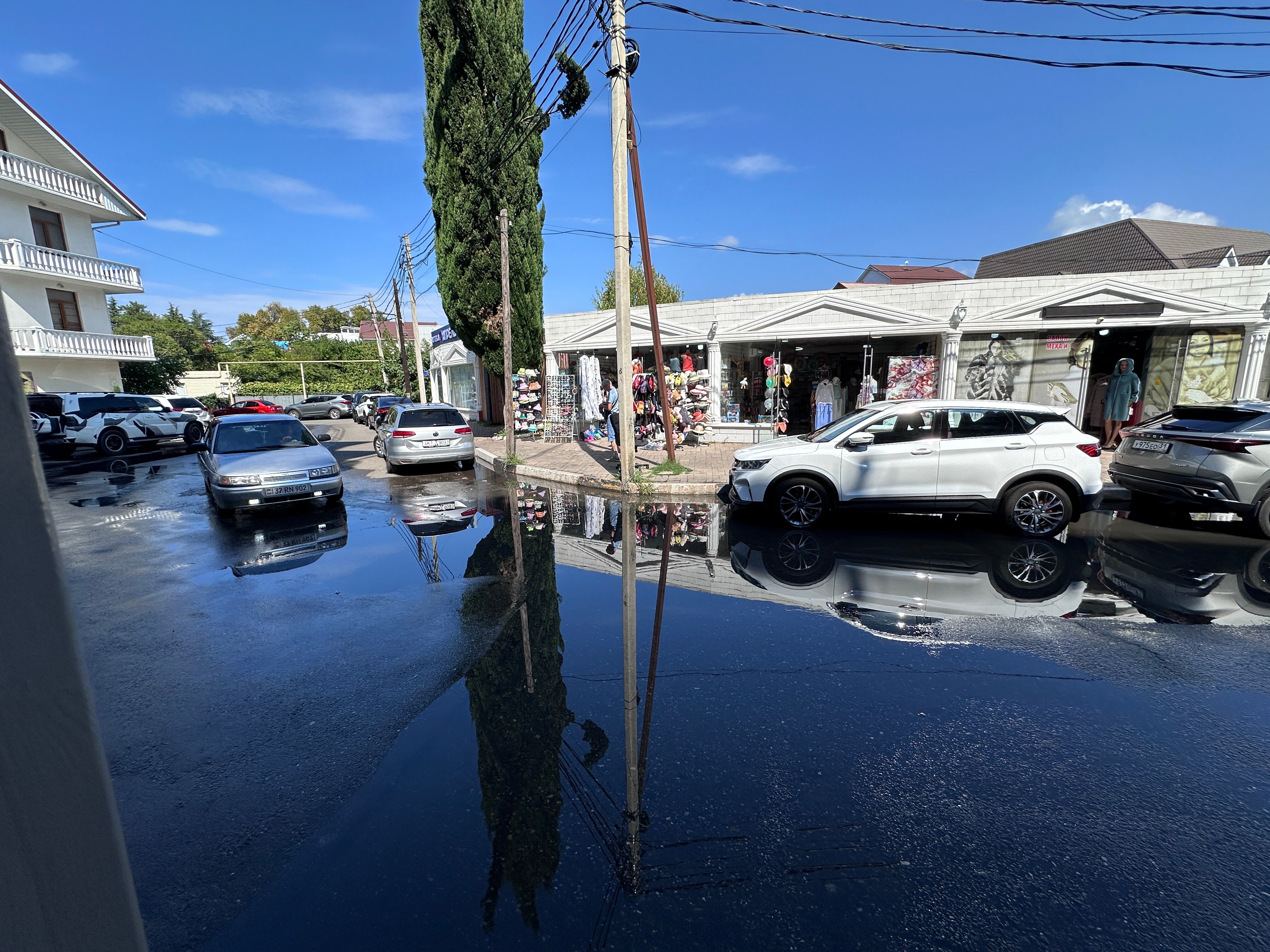 Фото Ксандер