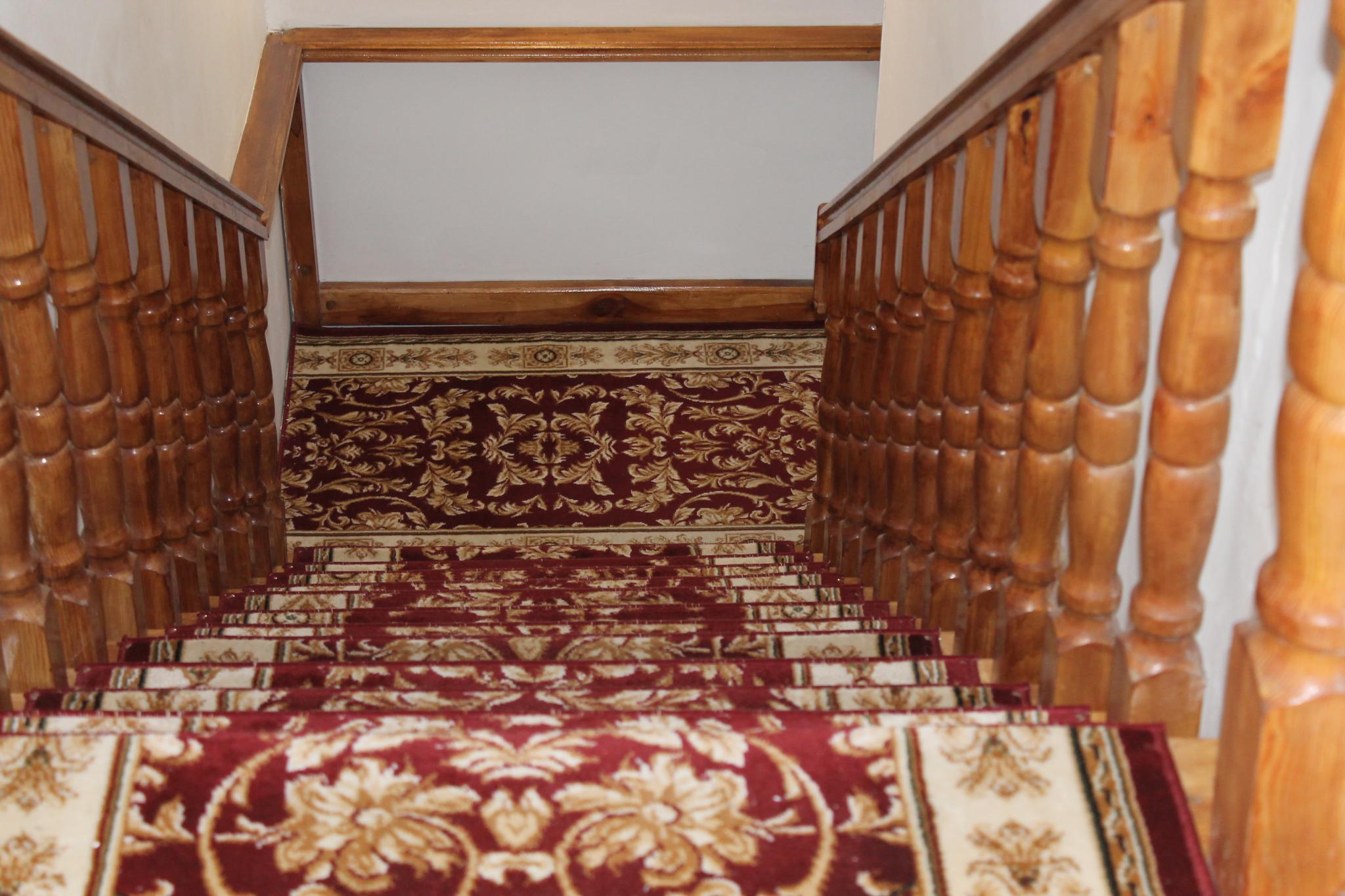 Фото Роза ветров