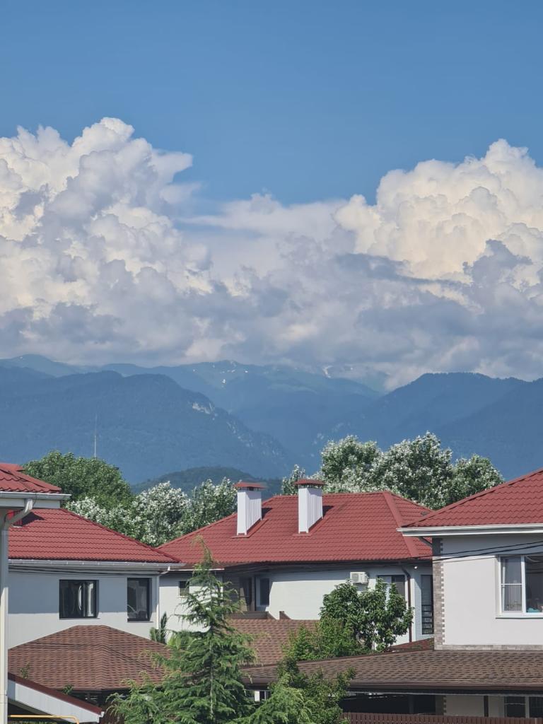 Фото Аристократ