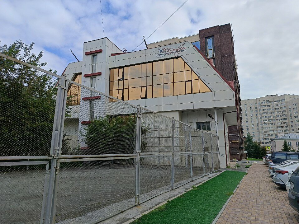 Фото Колибри