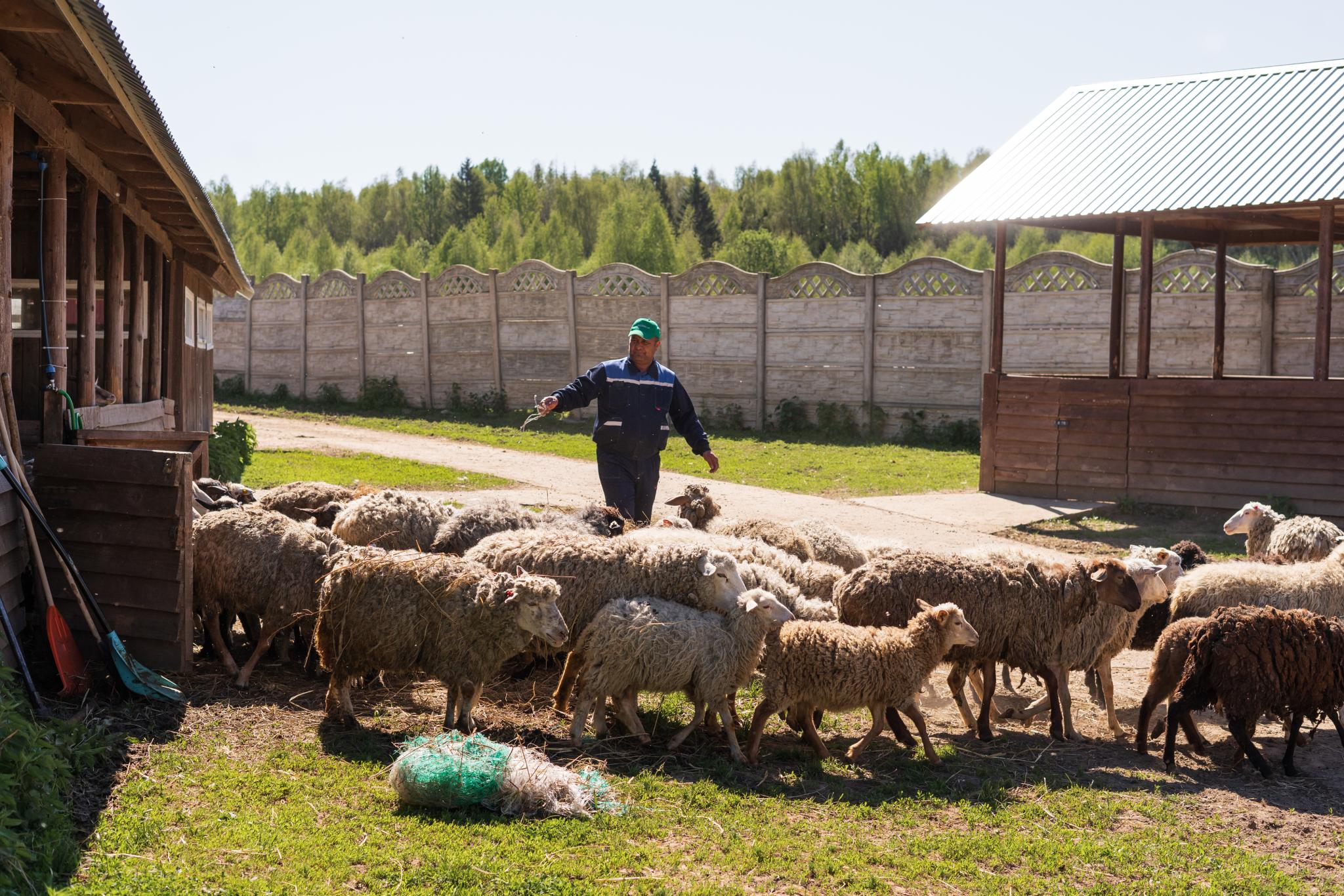 Фото Экоферма Вьюхово
