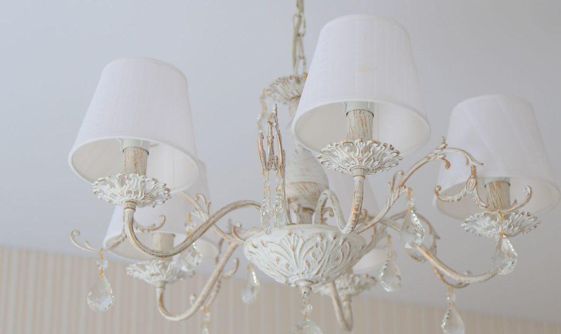 Фото Феликс