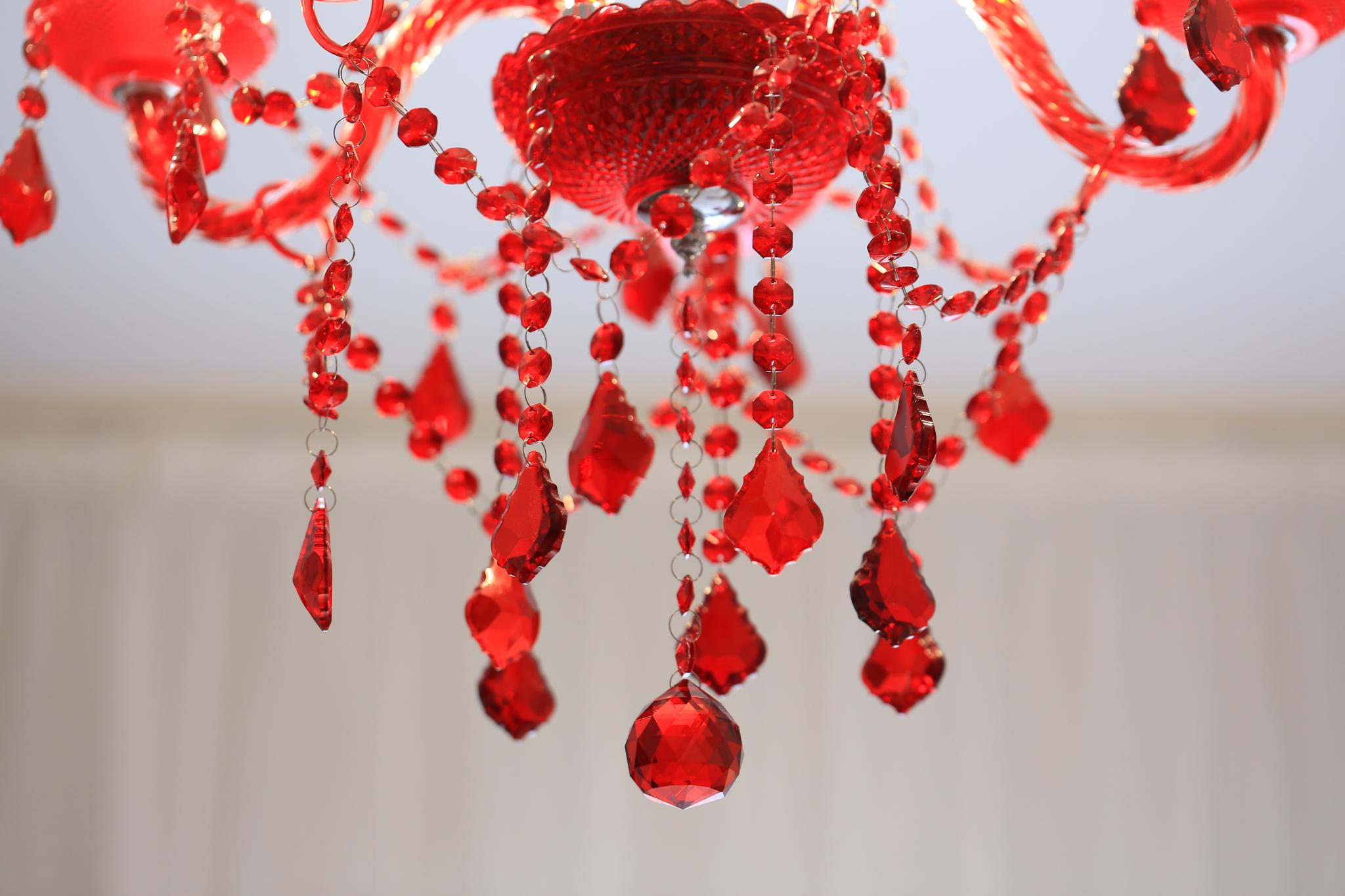 Фото Феликс