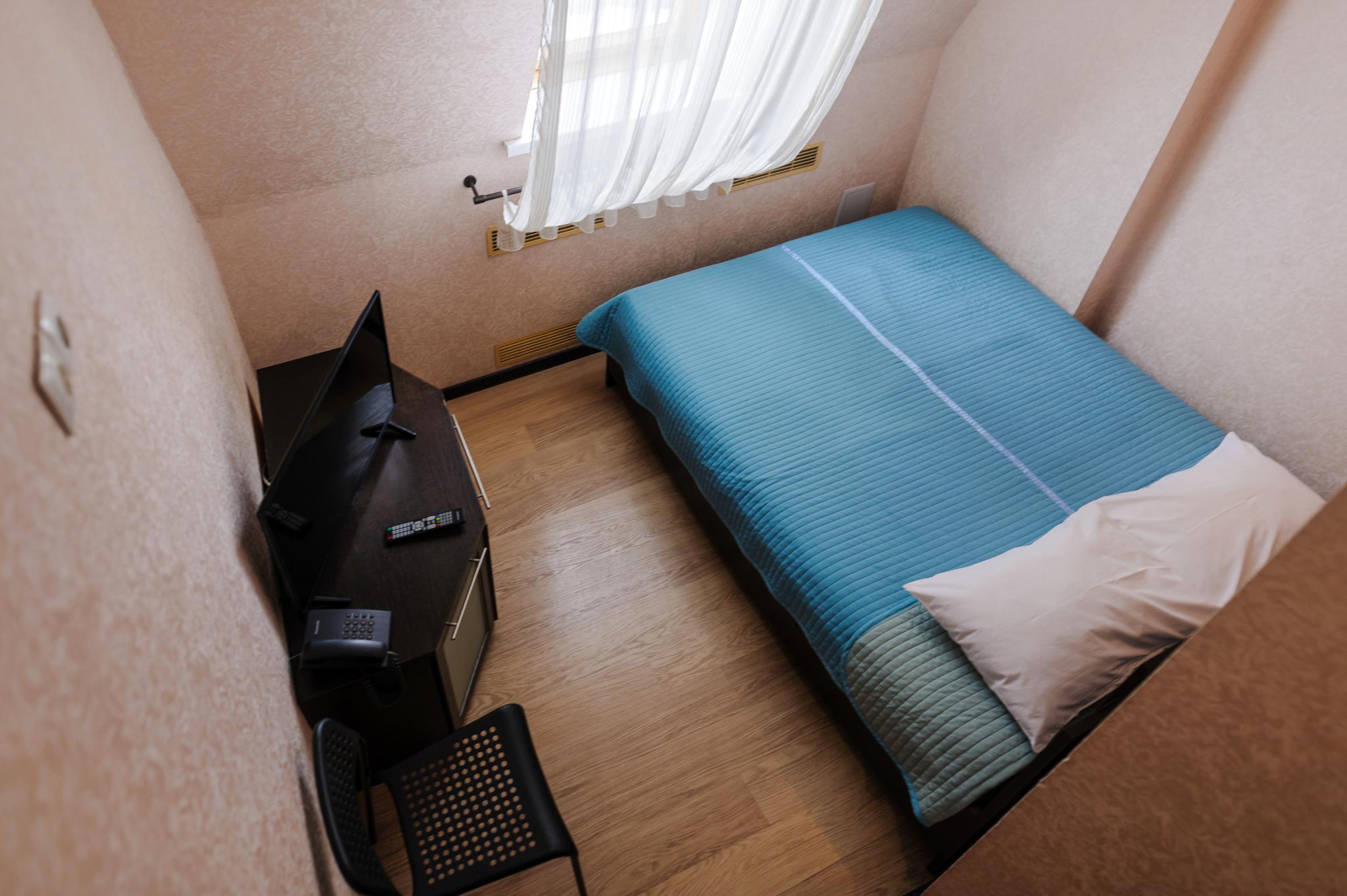 Фото Калина красная