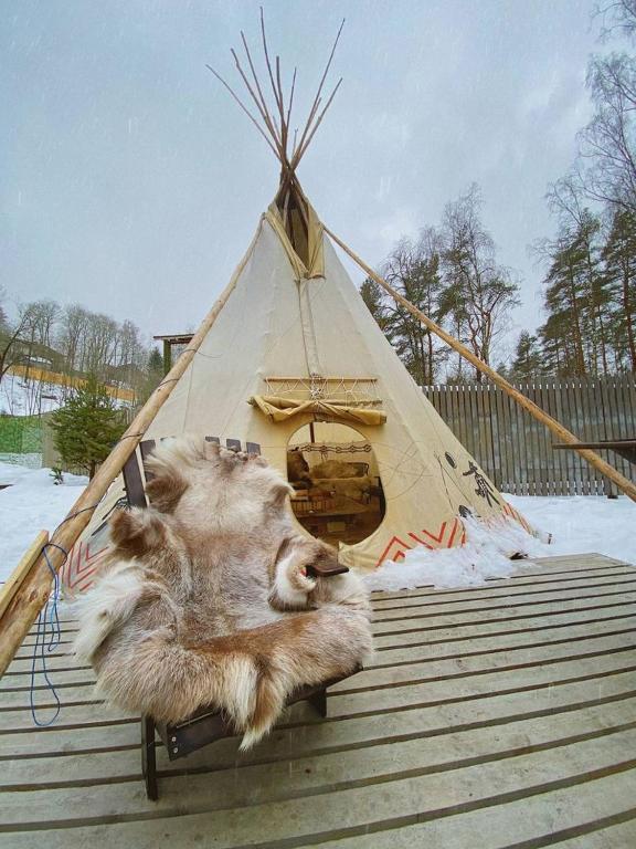 Фото Типи Юкки