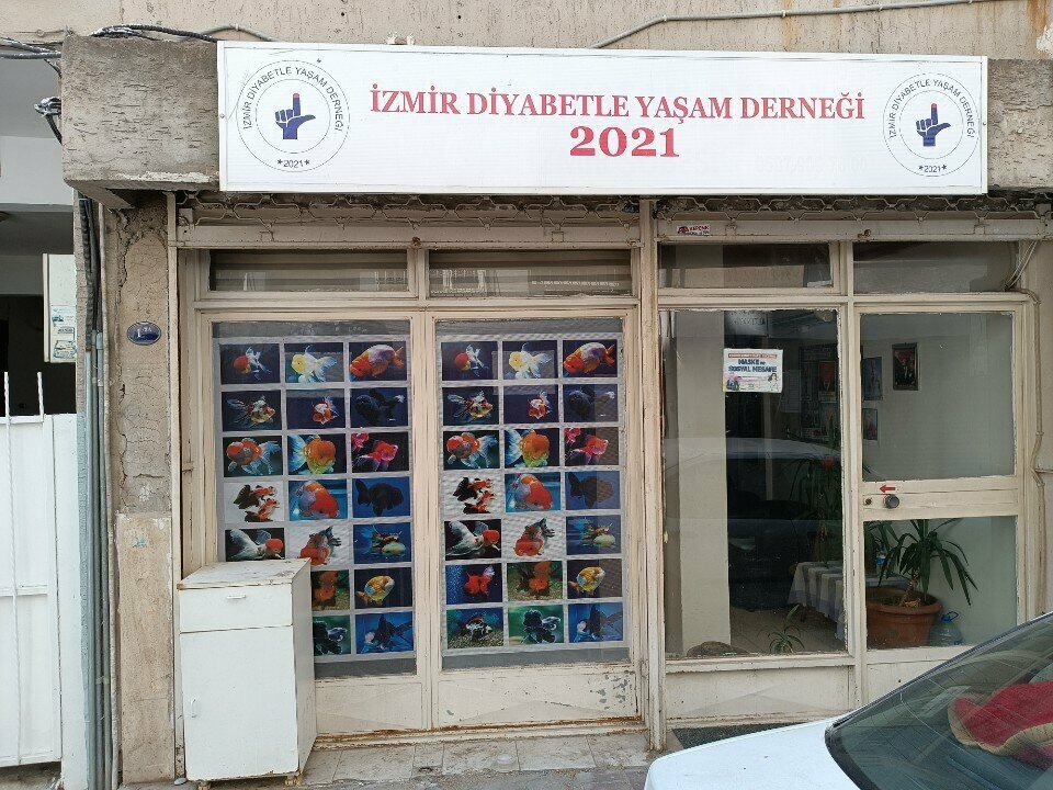Labor union Association for Living with Diabetes, Izmir, photo