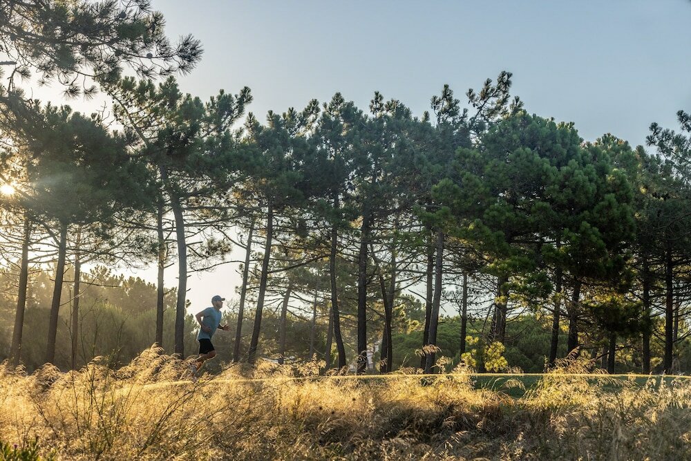 Фото The Oitavos